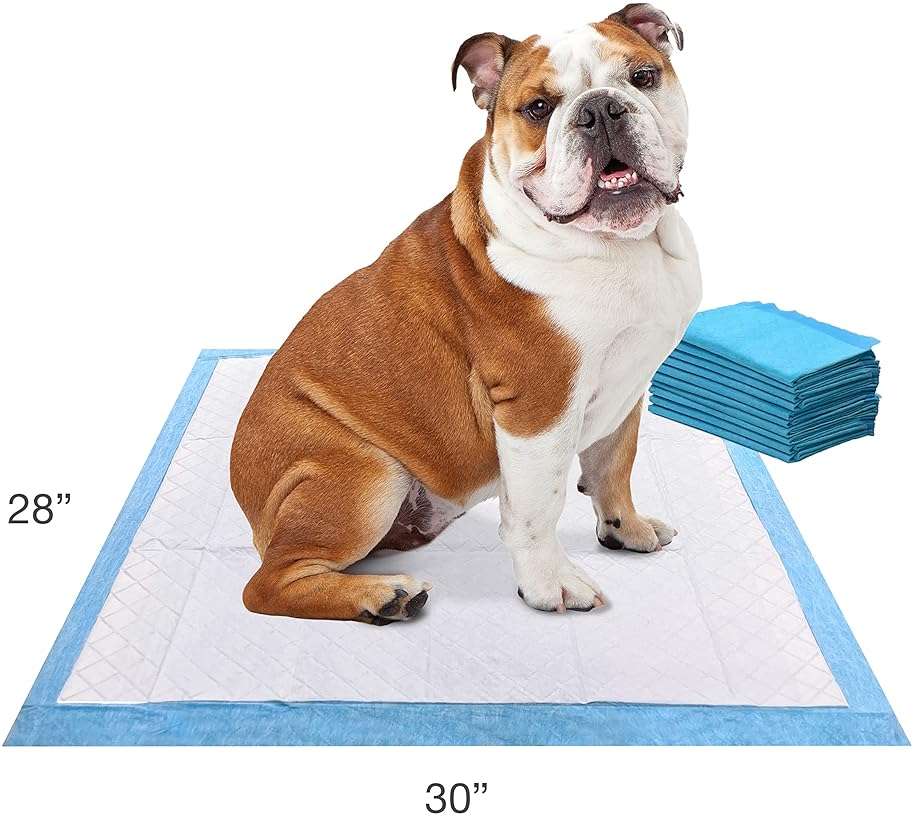 Four Paws Wee-Wee Odor Control with Febreze Freshness Pee Pads for Dogs & Puppies, Leak-Proof Dog Housebreaking Potty Training Floor Protection, Spring Fresh Scent, 22" x 23", 10 Count - Image 7