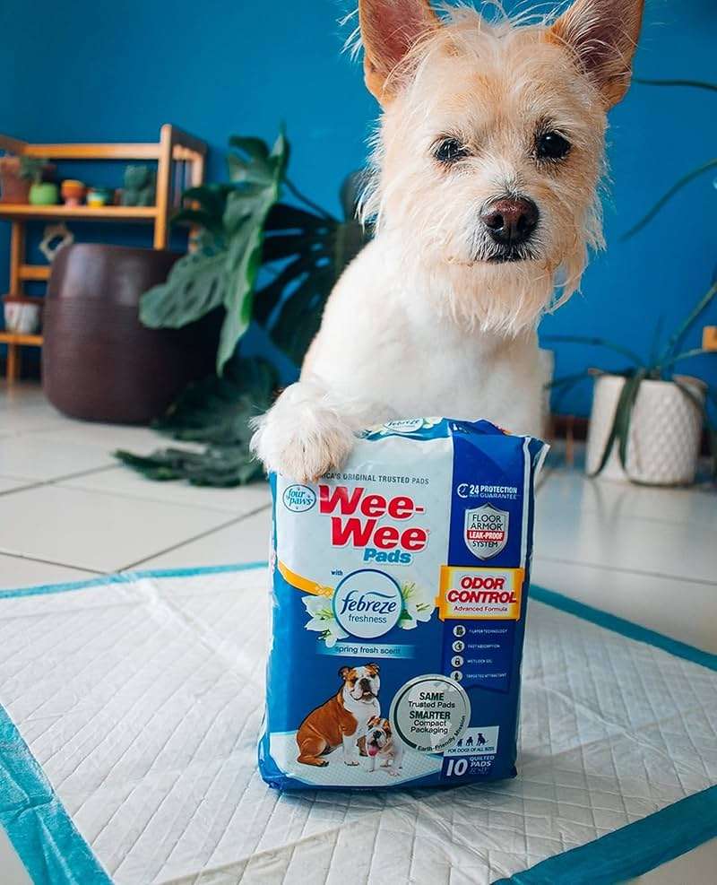 Four Paws Wee-Wee Odor Control with Febreze Freshness Pee Pads for Dogs & Puppies, Leak-Proof Dog Housebreaking Potty Training Floor Protection, Spring Fresh Scent, 22" x 23", 10 Count - Image 9
