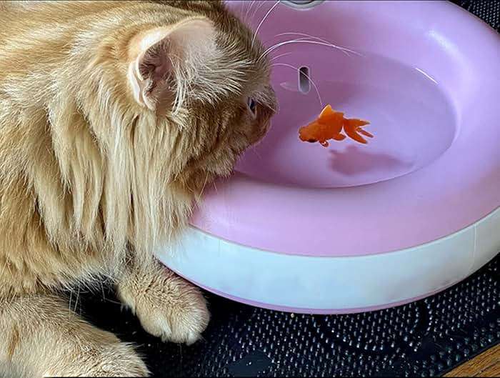 XMHF Aquarium Fish Bowl Tank Artificial Floating Plastic Orange Decor Goldfish Ornament Fish Tank Decoration 10PCS - Image 5