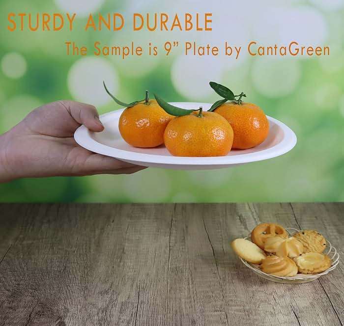 CantaGreen 6 inch Small Compostable Dessert Plates,100 Count Heavyduty Sugarcane/Bagasse and Bamboo Fibre Biodegradable Disposable Paper Plate - Image 4