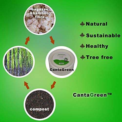 CantaGreen 6 inch Small Compostable Dessert Plates,100 Count Heavyduty Sugarcane/Bagasse and Bamboo Fibre Biodegradable Disposable Paper Plate - Image 6