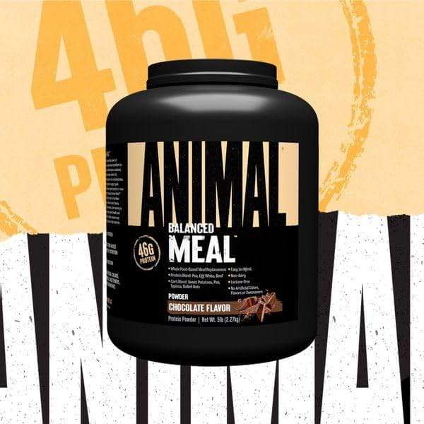 Animal Meal - Protein Shake with Whole Food Ingredients, Aids in Muscle Recovery, with Egg White, Beef & Pea Protein Blend, Chocolate Flavor, 5 lbs - Image 3