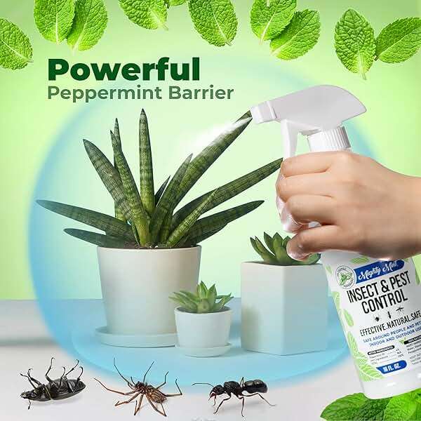 Mighty Mint Peppermint Oil Insect Repellent Spray – Indoor & Outdoor Bug Control for Spiders, Ants, Roaches, and More – Plant-Based, Extra-Strong Formula - 16 oz - Image 2