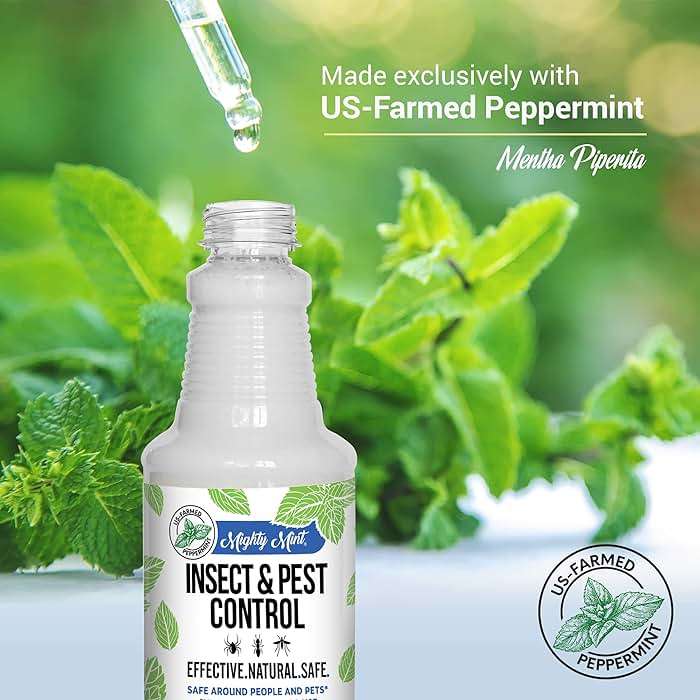 Mighty Mint Peppermint Oil Insect Repellent Spray – Indoor & Outdoor Bug Control for Spiders, Ants, Roaches, and More – Plant-Based, Extra-Strong Formula - 16 oz - Image 3
