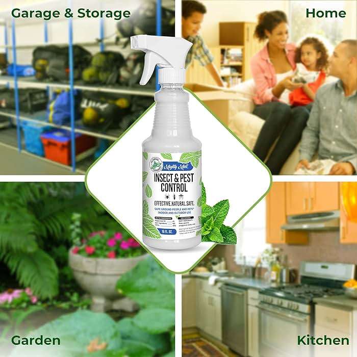 Mighty Mint Peppermint Oil Insect Repellent Spray – Indoor & Outdoor Bug Control for Spiders, Ants, Roaches, and More – Plant-Based, Extra-Strong Formula - 16 oz - Image 6