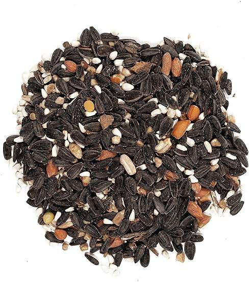 Wagner's 82042 Songbird Banquet Wild Bird Food, 5-Pound Bag - Image 3