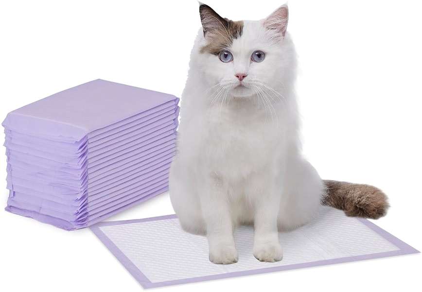 Amazon Basics Cat Pee Pads, Super Absorbent, Odor Control, Universal Fit for Litter Box, Disposable, Multi-Cat, Unscented, Purple and White, 20 Count - Image 1