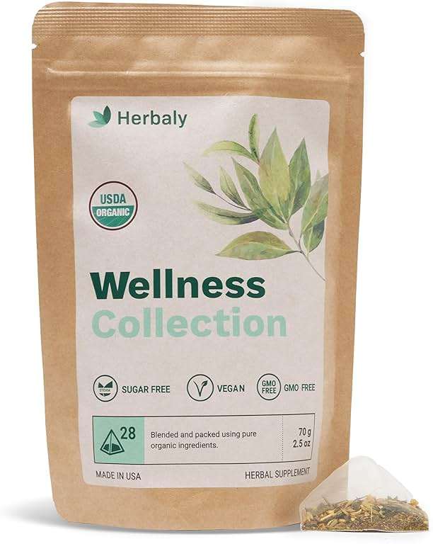 Herbaly Wellness Collection Organic Herbal Ginger Tea, 70 g, 28 Count Bag (Pack of 1) - Image 1