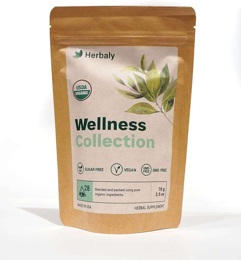 Herbaly Wellness Collection Organic Herbal Ginger Tea, 70 g, 28 Count Bag (Pack of 1) - Image 3