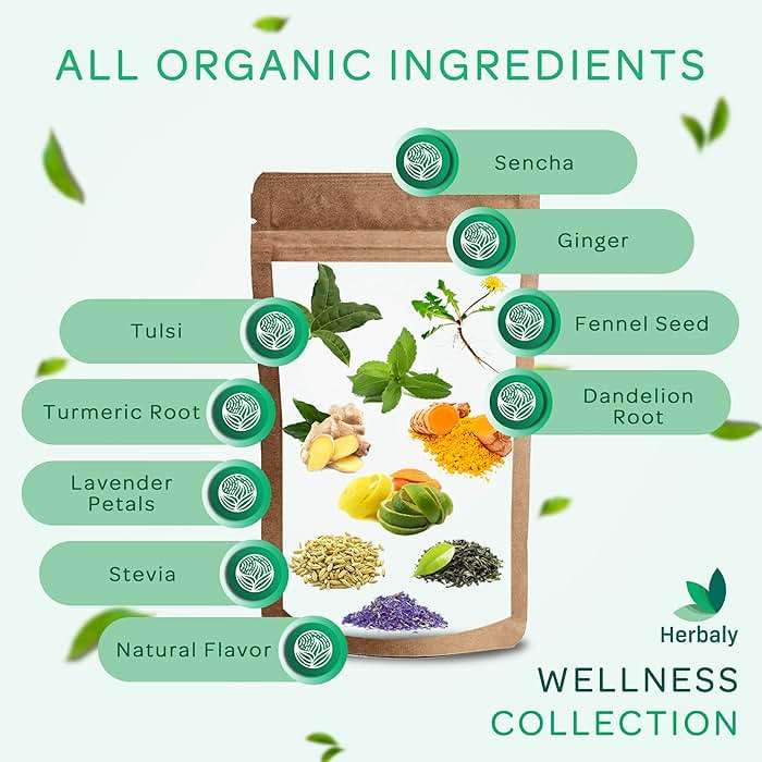 Herbaly Wellness Collection Organic Herbal Ginger Tea, 70 g, 28 Count Bag (Pack of 1) - Image 7