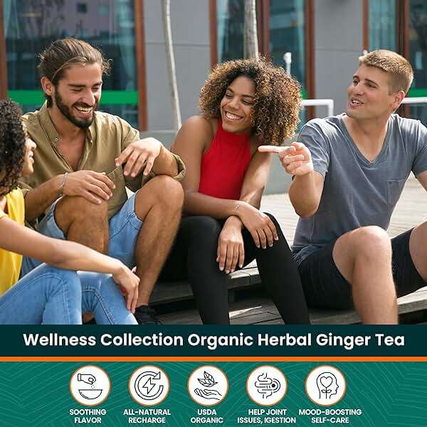 Herbaly Wellness Collection Organic Herbal Ginger Tea, 70 g, 28 Count Bag (Pack of 1) - Image 8