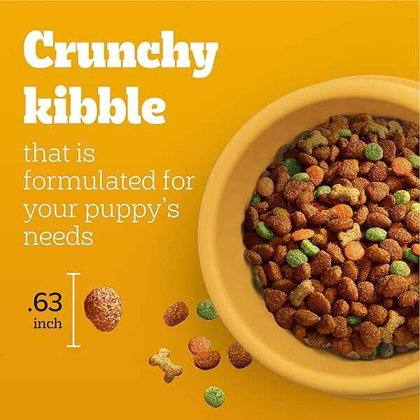 Pedigree Dry Puppy Food, Puppy Dry Food with Grilled Steak and Vegetable Flavor, 3.5 lb. Bag - Image 3