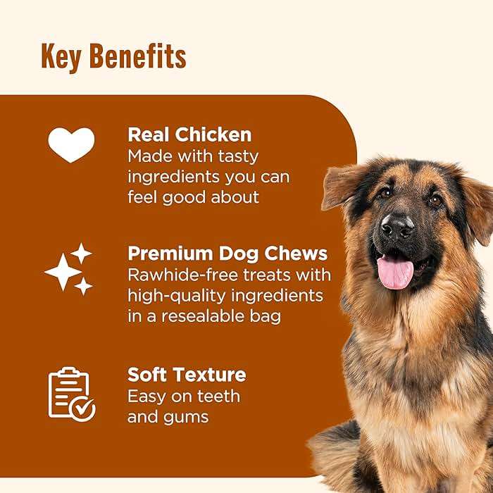 Nutrish Soup Bones Premium Dog Chews with Real Chicken and Veggies, 11 Chews, Packaging May Vary (Rachael Ray) - Image 5