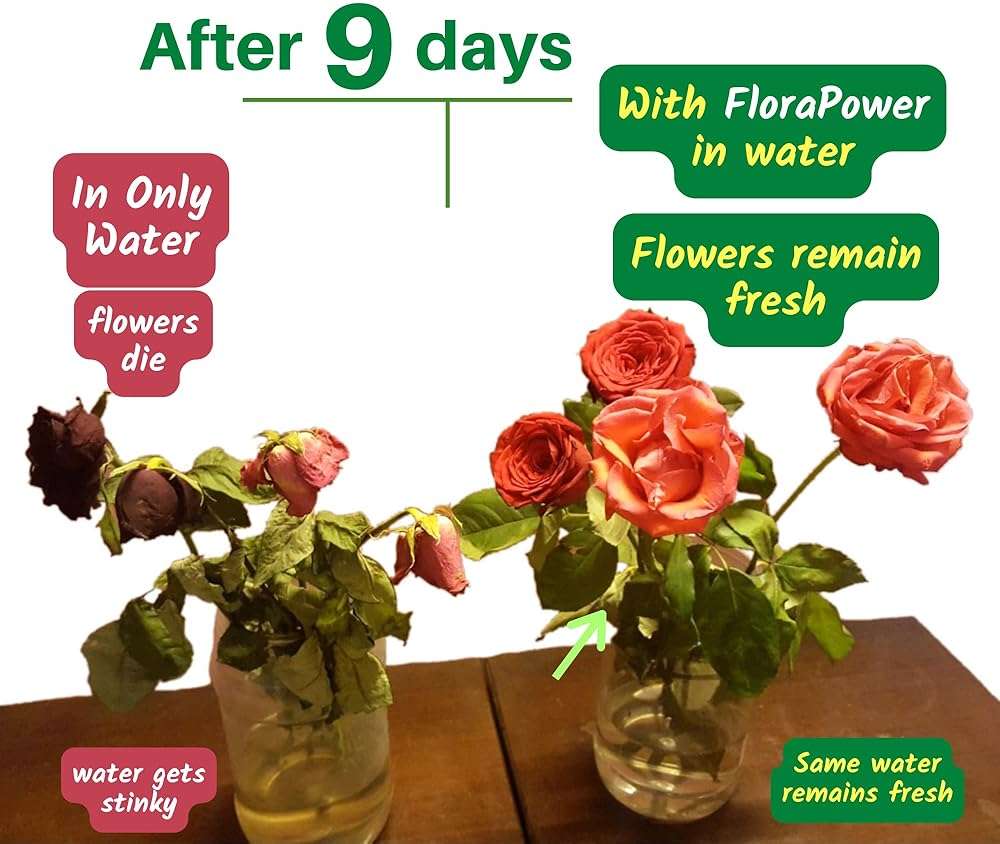 FloraPower - Food of Flowers, Flower food (bags, 10 pieces) - Image 2