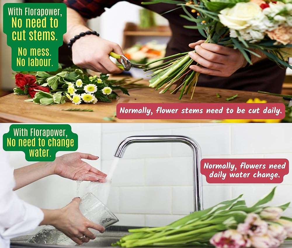 FloraPower - Food of Flowers, Flower food (bags, 10 pieces) - Image 4