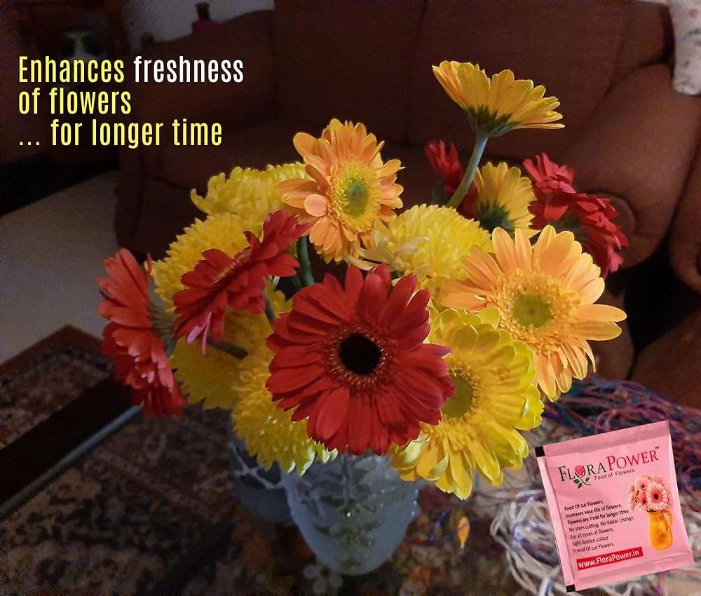 FloraPower - Food of Flowers, Flower food (bags, 10 pieces) - Image 6