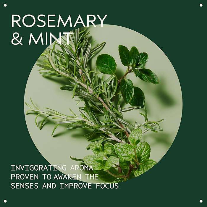 Aveda Rosemary Mint Purifying Shampoo | Clarifying Shampoo | Gently Removes Buildup, Adds Shine | For Normal to Oily Hair, Fine to Medium Hair Types | Invigorating Aroma| 97% Naturally Derived* - Image 3