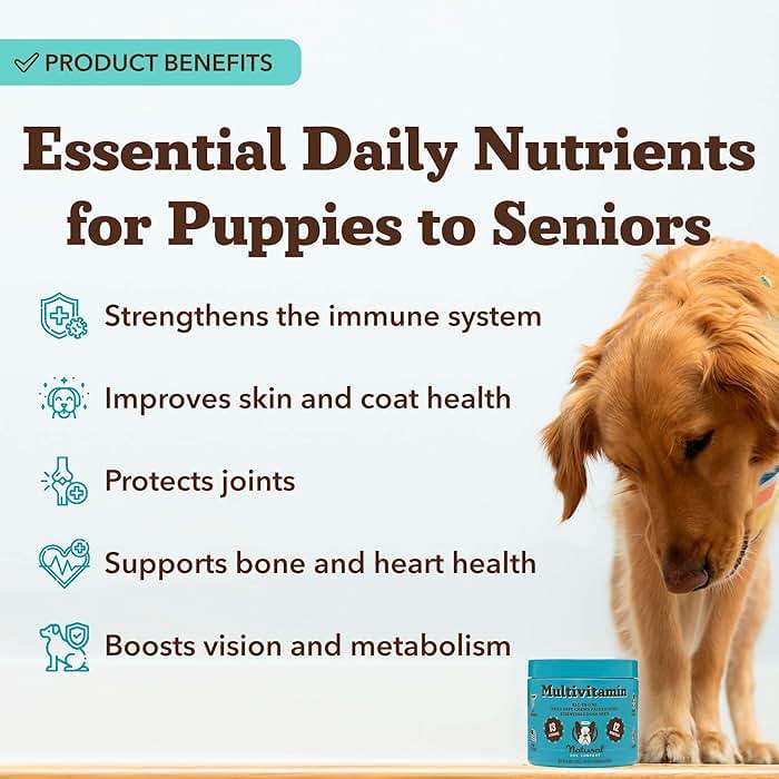 Natural Dog Company 25-in-1 Multivitamin for Dogs – Vet-Formulated Soft Chews for Puppies, Adults & Seniors, Supports Joints, Skin, Coat, Immune & Heart Health, NASC Certified, 90 Count - Image 2