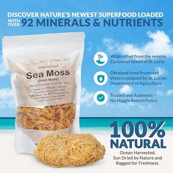 Raw Wildcrafted Gold Sea Moss 1 lb, St. Lucia Sun-Dried Seamoss, Natural Ocean Harvested Whole Moss | Makes 240+oz gel - Image 4