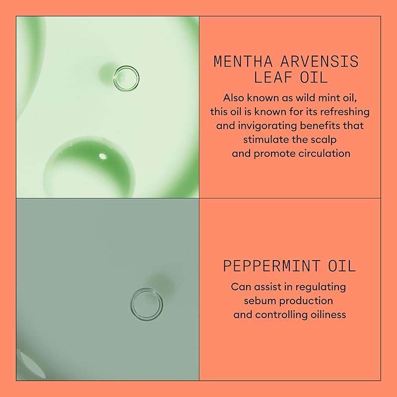 Nioxin System 4 Scalp + Hair Thickening Conditioner For Colored, Dry, & Damaged Hair with Progressed Thinning Maintain Vibrant Color Nourish & Boost Hair Density with Niacinamide & Biotin - Image 6