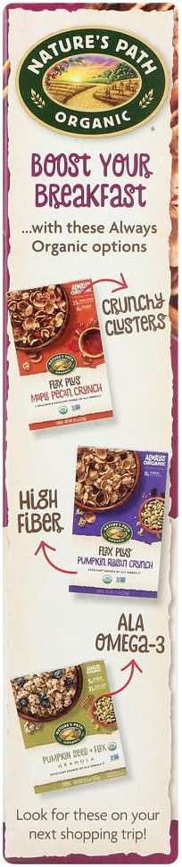 (NOT A CASE) Organic Flax Plus Cereal Raisin Bran - Image 3