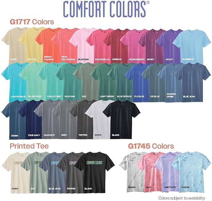 Comfort Colors Adult Heavyweight Short Sleeve Tee, Style G1717/G1745, Multipack - Image 4