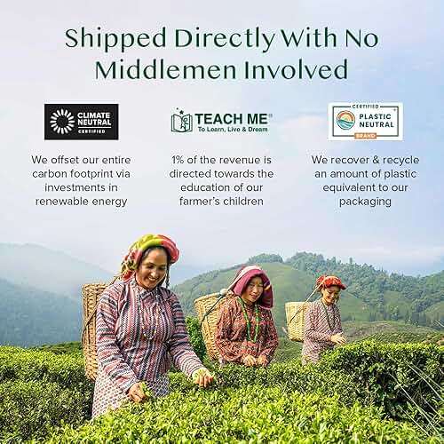 VAHDAM, India's Original Masala Chai Tea Bags (100 Count) No Added Flavoring | Blended w/Exotic Spices | Whole Leaf Tea Bags | Resealable Ziplock Pouch - Image 8