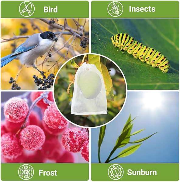 ENPOINT Fruit Bags for Fruit Trees, 100 PCS 6x10 Inch Fruit Protection Bags with Drawstring, Garden Netting Mesh Fruit Cover Bag for Grape, Tomato, Peach, Apple, Flower from Birds Bugs - Image 6
