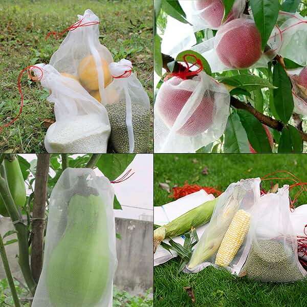ENPOINT Fruit Bags for Fruit Trees, 100 PCS 6x10 Inch Fruit Protection Bags with Drawstring, Garden Netting Mesh Fruit Cover Bag for Grape, Tomato, Peach, Apple, Flower from Birds Bugs - Image 9