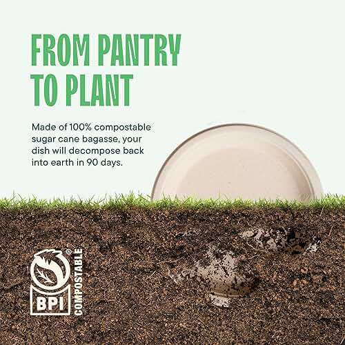 100% Compostable Paper Plates, Heavy Duty Disposable Plates [125-Pack] 9 Inch Plates - Eco-Friendly, Biodegradable Sugarcane Bagasse, Natural Unbleached Brown 9" Dinner Paper Plate Disposable - Image 5
