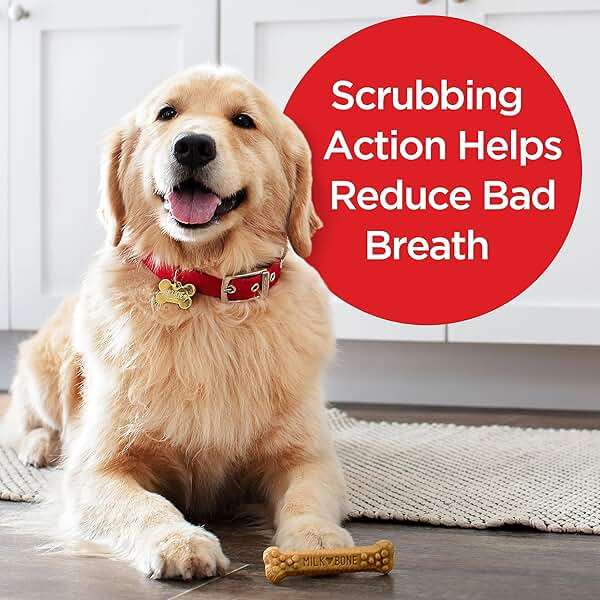 Milk-Bone Brushing Chews Original Chicken Flavor Daily Dental Dog Treats, Large, 24.2 Oz. Bag - Image 5