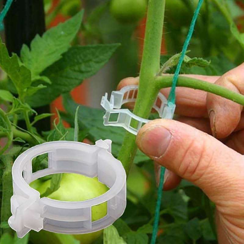 100PCS Plant Support Garden Clips Tomato Clips Supports/Connects Plants/Twine/Vines Trellis/Cages Plant Vine Vegetable Fastening Clip Grafting Tools Make Plant Grow Upright and Healthier (100PCS) - Image 1