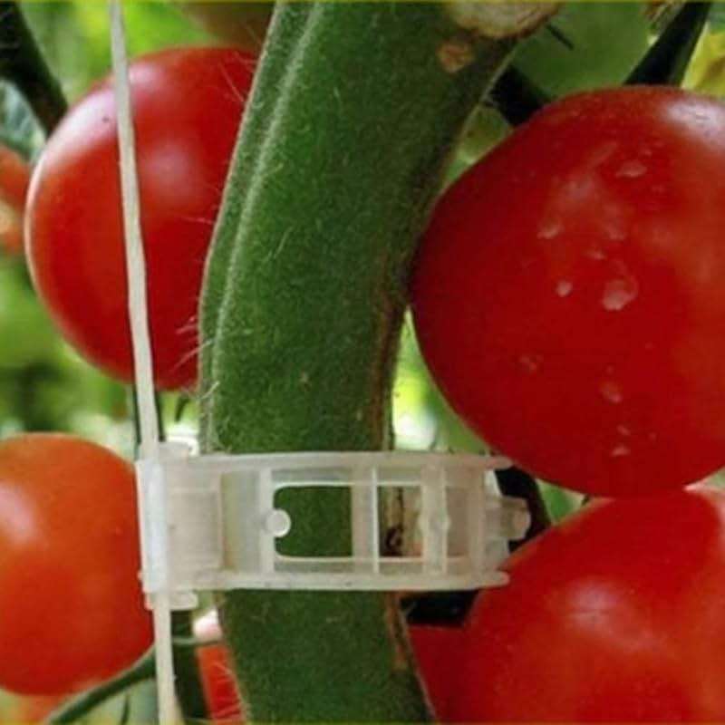 100PCS Plant Support Garden Clips Tomato Clips Supports/Connects Plants/Twine/Vines Trellis/Cages Plant Vine Vegetable Fastening Clip Grafting Tools Make Plant Grow Upright and Healthier (100PCS) - Image 4