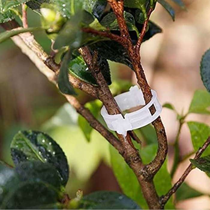 100PCS Plant Support Garden Clips Tomato Clips Supports/Connects Plants/Twine/Vines Trellis/Cages Plant Vine Vegetable Fastening Clip Grafting Tools Make Plant Grow Upright and Healthier (100PCS) - Image 5