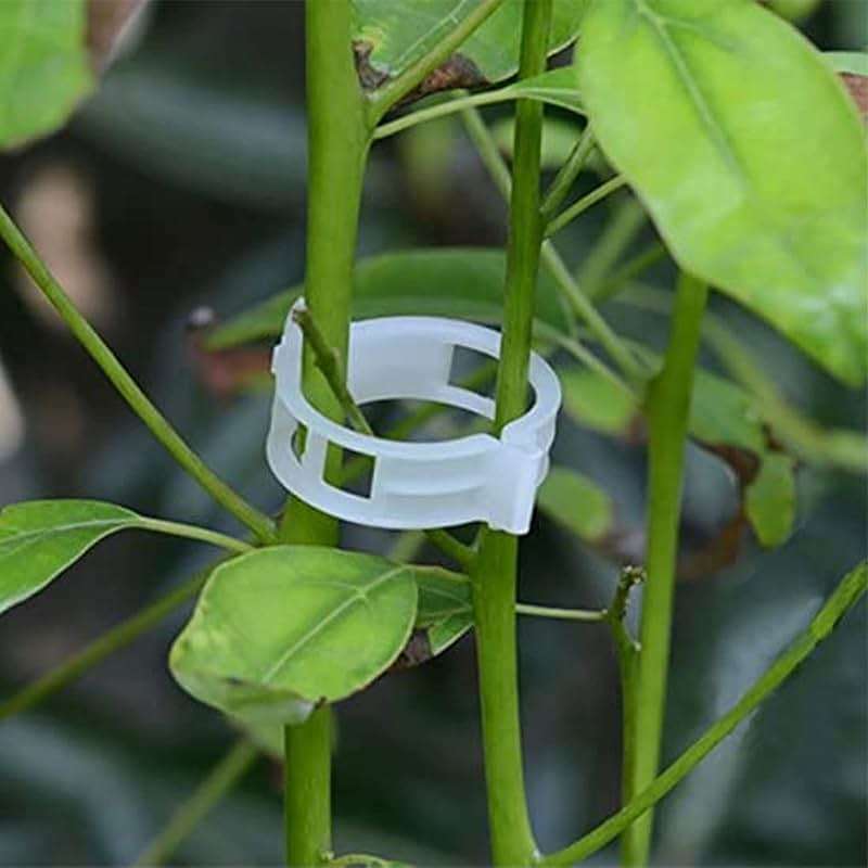 100PCS Plant Support Garden Clips Tomato Clips Supports/Connects Plants/Twine/Vines Trellis/Cages Plant Vine Vegetable Fastening Clip Grafting Tools Make Plant Grow Upright and Healthier (100PCS) - Image 6