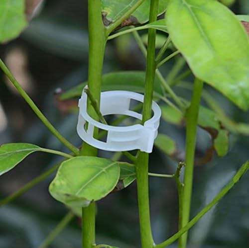 100PCS Plant Support Garden Clips Tomato Clips Supports/Connects Plants/Twine/Vines Trellis/Cages Plant Vine Vegetable Fastening Clip Grafting Tools Make Plant Grow Upright and Healthier (100PCS) - Image 7