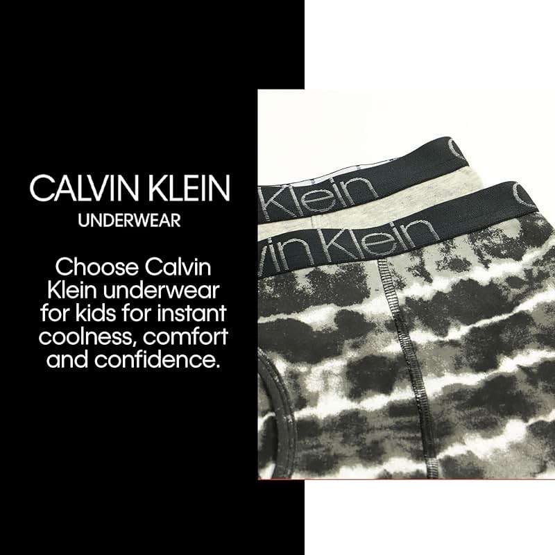 Calvin Klein Kids Boys' Modern Cotton Boxer Brief Underwear 5-Pack - Image 5