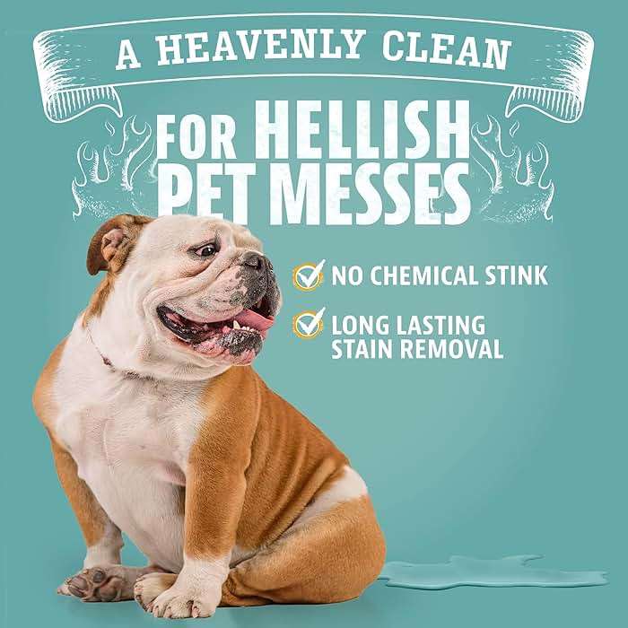 Angry Orange Stain Remover - 32oz Enzyme Pet Cleaner - Dog & Cat Urine Destroyer and Stain Remover - Citrus Spray Cleaning Solution - Puppy Supplies - Image 6