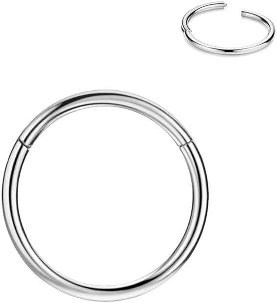 FANSING Men Women 316L Surgical Steel Hinged Nose Rings Hoop for Nostril Septum Cartilage Helix Daith Tragus Rook Conch Lip Ear Lobe Piercings - Image 1