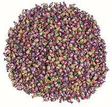 Dubble Bubble Chewing Gum Bulk Candy 1800 Pieces Individually Wrapped - Bubble Gum Variety Pack with Grape Watermelon Apple Fruit Flavors | Gluten Free Kosher Gum for Kids Party Favors & Vending - Image 1