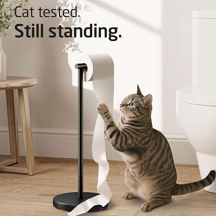 KES Bathroom Toilet Paper Holder Stand Modern Tissue Roll Holder SUS304 Stainless Steel Rustproof Freestanding 20.2" H, Matte Black BPH283S1-BK - Image 4