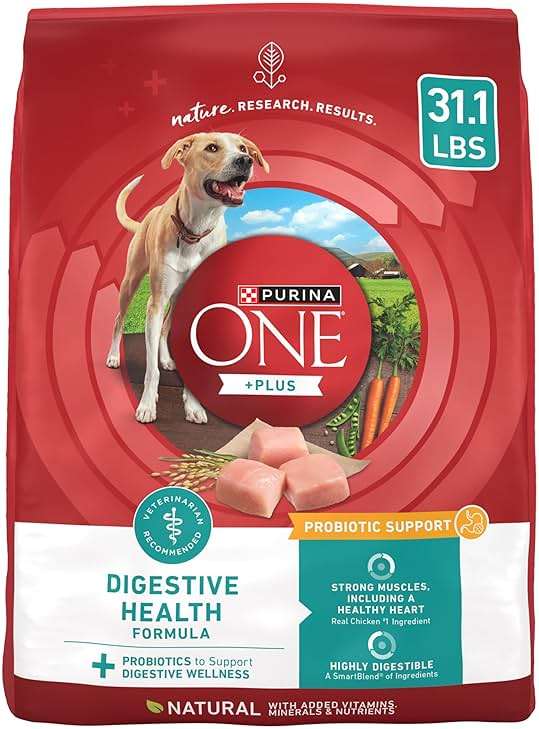 Purina One Plus Digestive Health Formula Dry Dog Food Natural with Added Vitamins, Minerals and Nutrients - 31.1 Lb. Bag - Image 1