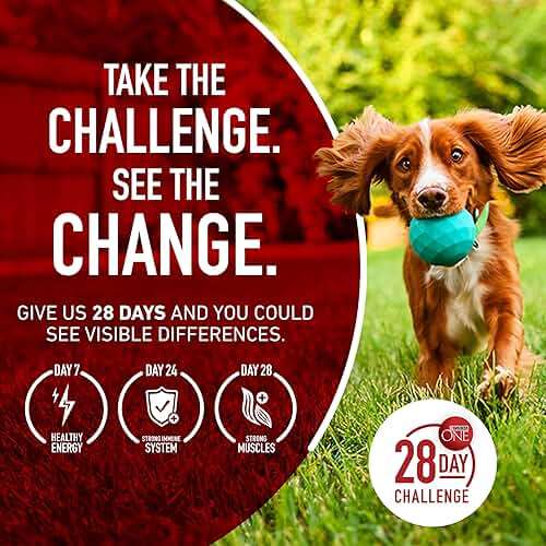 Purina One Plus Digestive Health Formula Dry Dog Food Natural with Added Vitamins, Minerals and Nutrients - 31.1 Lb. Bag - Image 10