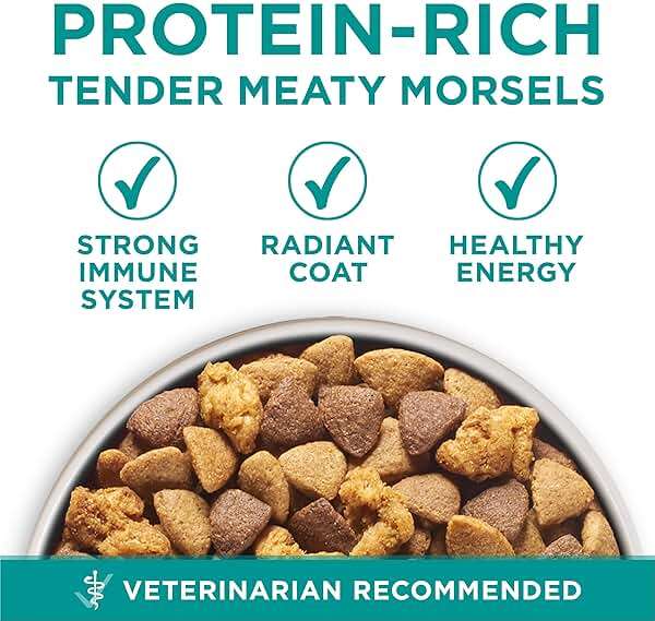 Purina One Plus Digestive Health Formula Dry Dog Food Natural with Added Vitamins, Minerals and Nutrients - 16.5 Lb. Bag - Image 2
