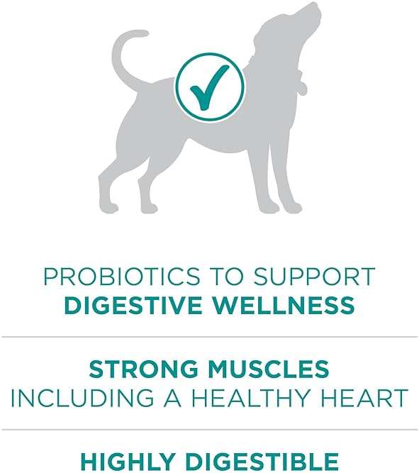 Purina One Plus Digestive Health Formula Dry Dog Food Natural with Added Vitamins, Minerals and Nutrients - 16.5 Lb. Bag - Image 5