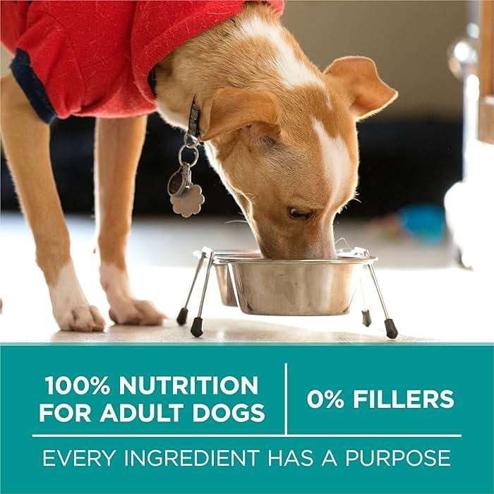 Purina One Plus Digestive Health Formula Dry Dog Food Natural with Added Vitamins, Minerals and Nutrients - 16.5 Lb. Bag - Image 8