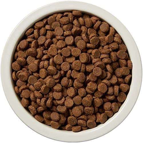 Amazon Brand - Wag Dry Dog Food Salmon & Sweet Potato, Grain Free 24 lb Bag - Image 5