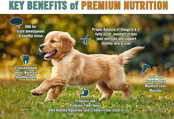 Chicken Soup for the Soul Natural Premium Dry Puppy Food, Real Meat First Ingredient, No By-Products, Supports Brain Development & Strong Bones & Teeth, Chicken, Brown Rice & Turkey 4.5lb - Image 3