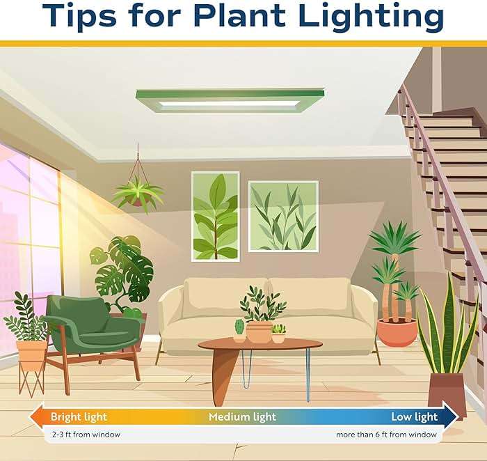 Costa Farms ZZ Plant, Live Indoor Houseplant in Modern Decor Planter, Natural Air Purifier in Potting Soil, Gift for Plant Lovers, Birthday Gift, Tabletop Living Room Decor, Desk Decor, 12-Inches Tall - Image 9