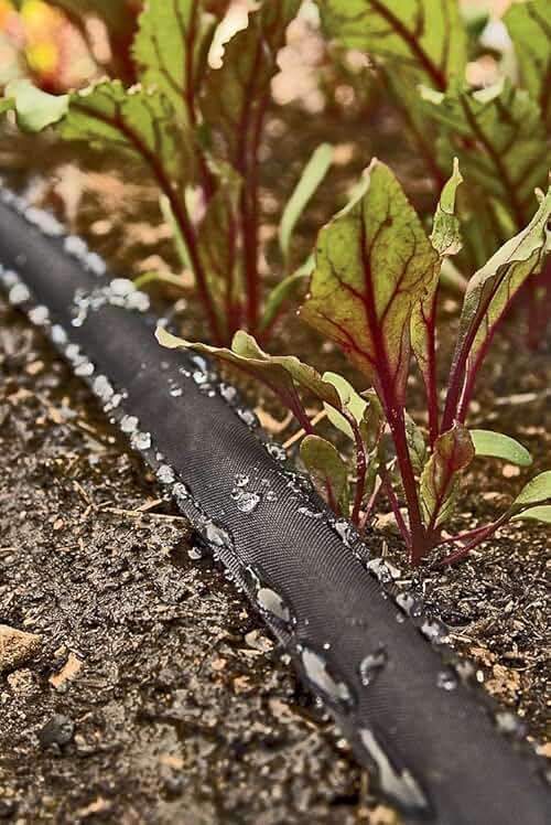 Rocky Mountain Goods 75 Foot Flat Weeper Soaker Hose - Drip Irrigation - Double Layer Design - Saves 70% Water - Consistent Drip Entire Length of Hose - Includes 3 Pressure Reducing Discs (2) - Image 2